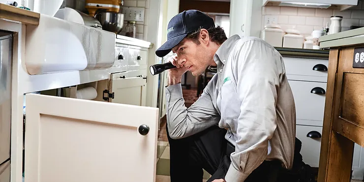 Understanding How To Read A Pest Inspection